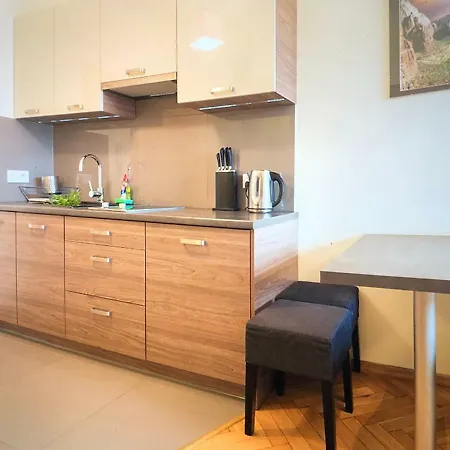 Schwarz Tiger 16 Rynek Apartman *