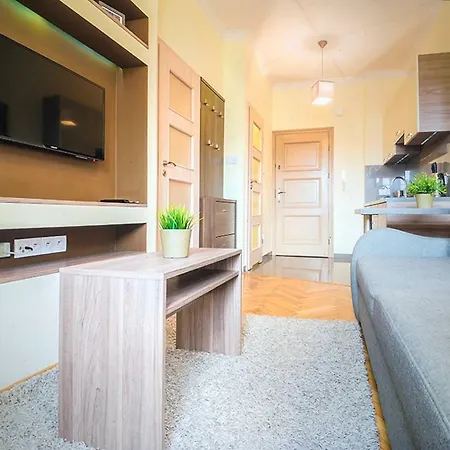 Schwarz Tiger 16 Rynek Apartman *