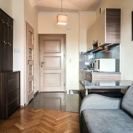 Schwarz Tiger 16 Rynek Apartman *