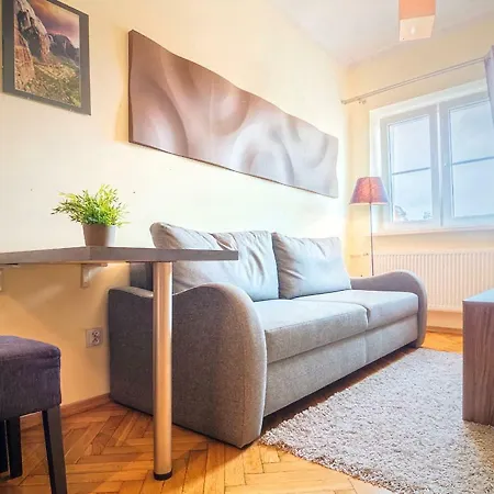 Schwarz Tiger 16 Rynek Apartman *